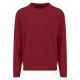 блуза,мъжки,пуловери,fynch,hatton,1509324,sweater,garnet,red