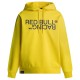 суичър,мъжки,пуловери,дамски,пуловери,red,bull,racing,ru580001,hoodie,yellow,(yellow)