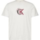 тениска,мъжки,тениски,дамски,тениски,calvin,klein,jeans,30s,2,tone,short,sleeve,t,shirt,white,(white,greige)