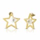 бижутерия,ops,objects,clip,pearl,ipr,star,earrings,gold