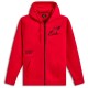 суичър,мъжки,пуловери,alpinestars,transverse,hoodie,red,(red)
