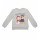 блуза,детски,блузи,paw,patrol,paw,patrol,sweatshirt,grey,(gray)