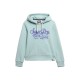 суичър,дамски,блузи,superdry,tokyo,london,hoodie,fresh,mint,green