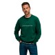 блуза,дамски,блузи,salsa,jeans,21011181,sweatshirt,green,(dark,green)