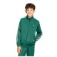 футболна,фланелка,детски,блузи,adidas,originals,firebird,loose,full,zip,sweatshirt,green,(team,dark,green,dark,football,gold)