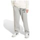 панталони,мъжки,панталони,дамски,панталони,adidas,seasonals,collegiate,typography,pants,grey,(medium,grey,heather,black)