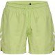 бански,гащета,мъжки,бански,костюми,hummel,pulse,swimming,shorts,green,(shadow,lime)