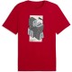 тениска,мъжки,тениски,дамски,тениски,puma,graphic,short,sleeve,t,shirt,red,(for,all,time,red)