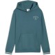 суичър,детски,блузи,puma,class,graphic,hoodie,green,(emerald,ice)