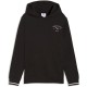 суичър,детски,блузи,puma,class,graphic,hoodie,black,(puma,black)