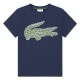 детска,тениска,мъжки,тениски,дамски,тениски,lacoste,kids,multi,croco,short,sleeve,t,shirt,blue,(navy)