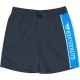 бански,гащета,детски,бански,костюми,quiksilver,everyday,clicker,volley,15´´,swimming,shorts,blue,(dark,navy)