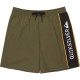 бански,гащета,мъжки,бански,костюми,quiksilver,everyday,clicker,volley,17´´,swimming,shorts,green,(grape,leaf)