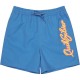 бански,гащета,детски,бански,костюми,quiksilver,everyday,malibu,volley,14´´,swimming,shorts,blue,(riviera)