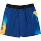бански,гащета,детски,бански,костюми,quiksilver,everyday,holmes,volley,16´´,swimming,shorts,blue,(monaco,blue,holmes)