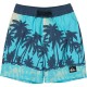 бански,гащета,детски,бански,костюми,quiksilver,everyday,printed,volley,13´´,swimming,shorts,blue,(aqua,thermotropics)