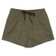 бански,гащета,мъжки,бански,костюми,quiksilver,everyday,solid,volley,15´´,swimming,shorts,green,(grape,leaf)