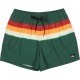 бански,гащета,мъжки,бански,костюми,quiksilver,everyday,printed,volley,15´´,swimming,shorts,green,(forest,outside,stripe)