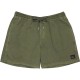 бански,гащета,мъжки,бански,костюми,quiksilver,everyday,surfwash,volley,15´´,swimming,shorts,green,(grape,leaf)