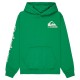 суичър,детски,блузи,quiksilver,omni,logo,hoodie,green,(leprechaun)