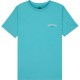 тениска,мъжки,тениски,дамски,тениски,quiksilver,urban,nmd,1,short,sleeve,t,shirt,blue,(aqua)