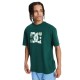 тениска,мъжки,тениски,дамски,тениски,dc,shoes,star,filled,short,sleeve,t,shirt,green,(ponderosa,pine)