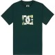 тениска,мъжки,тениски,дамски,тениски,dc,shoes,star,filled,short,sleeve,t,shirt,green,(ponderosa,pine)