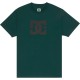 тениска,мъжки,тениски,дамски,тениски,dc,shoes,star,short,sleeve,t,shirt,green,(ponderosa,pine)