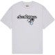 тениска,мъжки,тениски,дамски,тениски,dc,shoes,star,struck,short,sleeve,t,shirt,white,(white)