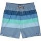 бански,гащета,мъжки,бански,костюми,billabong,73,swimming,shorts,blue,(washed,blue)