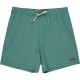 бански,гащета,мъжки,бански,костюми,billabong,every,other,day,swimming,shorts,green,(sea,green)