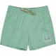 бански,гащета,мъжки,бански,костюми,billabong,foundation,swimming,shorts,green,(green,ash)