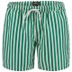 бански,гащета,мъжки,бански,костюми,fynch,hatton,16052754,swimming,shorts,green,(jade)