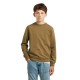 блуза,детски,блузи,g,star,d29274,01,sweatshirt,brown,(dark,fawn)