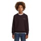 блуза,детски,блузи,g,star,premium,core,d29249,01,sweatshirt,black,(chocolat,plum)