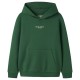 суичър,детски,блузи,name,it,brody,hoodie,green,(verdant,green,jet,stream,print)