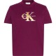 тениска,мъжки,тениски,дамски,тениски,calvin,klein,jeans,lv047e819g,short,sleeve,t,shirt,purple,(berry,glaze)