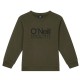 блуза,детски,блузи,o´neill,cali,logo,sweatshirt,green,(forest,night)