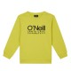 блуза,детски,блузи,o´neill,cali,logo,sweatshirt,yellow,(luca,lime)