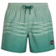 бански,гащета,мъжки,бански,костюми,o´neill,first,15´´,swimming,shorts,green,(green,heritage)