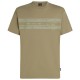 тениска,мъжки,тениски,дамски,тениски,o´neill,flower,stripe,short,sleeve,t,shirt,brown,(avery,fern)