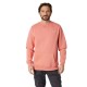 блуза,мъжки,пуловери,deeluxe,benor,sweatshirt,orange,(tangerine)