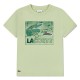 детска,тениска,мъжки,тениски,дамски,тениски,lacoste,kids,947583,short,sleeve,t,shirt,green,(bouleau)