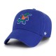 шапка,всички,шапки,47,florida,gators,cap,blue,(green)
