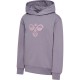 суичър,детски,блузи,hummel,regular,tukas,hoodie,purple,(ashley,blue)