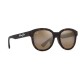 слънчеви,очила,слънчеви,очила,maui,jim,ihupani,af,polarized,sunglasses,brown,(matte,dark,havana)