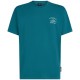 тениска,мъжки,тениски,дамски,тениски,o´neill,beach,chest,print,short,sleeve,t,shirt,green,(botanical,heat)