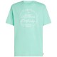тениска,мъжки,тениски,дамски,тениски,o´neill,beach,front,print,short,sleeve,t,shirt,green,blue,(antiguan,sky)