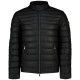 яке,мъжки,якета,дамски,якета,и,палта,guess,m6yl39w2849,jacket,black,(jet,black,a996)