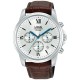 часовник,часовници,lorus,watches,rt343lx9,42mm,10atm,quartz,analogical,watch,silver,(brown,white,mineral)